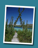 Wilderness Fishing Photo