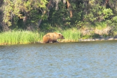 Teehnah Lake Photo Gallery